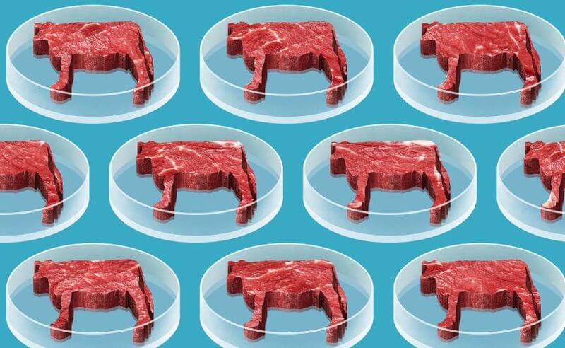 Meat consumption expected to increase by over 70% by 2050