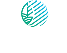 large logo