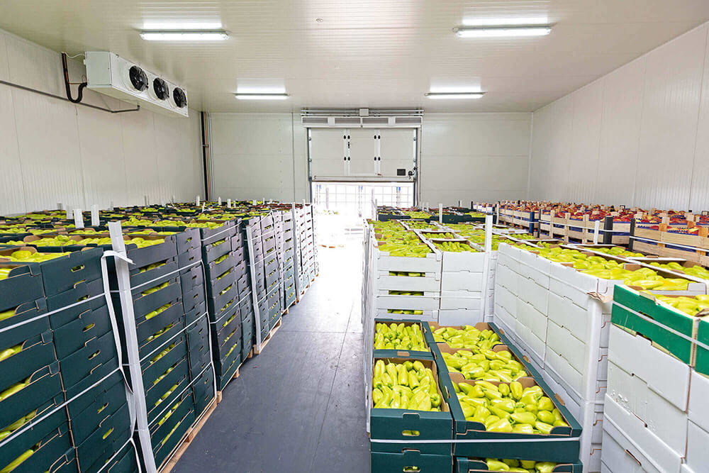 Is the Demand for cold storage warehouses expected to remain continuous or become stagnant?